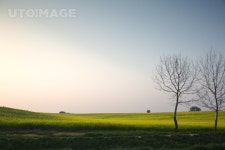 유토이미지 | 팜랜드