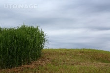 프리진 - 스톡 이미지, 사진, 일러스트, 벡터, 웹디자인. 이미지 사이트