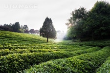 프리진 - 스톡 이미지, 사진, 일러스트, 벡터, 웹디자인. 이미지 사이트
