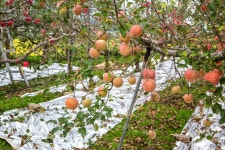 프리진 - 스톡 이미지, 사진, 일러스트, 벡터, 웹디자인. 이미지 사이트