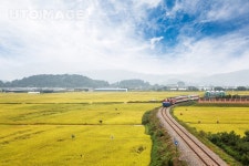 프리진 - 스톡 이미지, 사진, 일러스트, 벡터, 웹디자인. 이미지 사이트