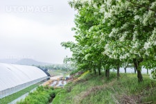 프리진 - 스톡 이미지, 사진, 일러스트, 벡터, 웹디자인. 이미지 사이트