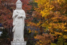 프리진 - 스톡 이미지, 사진, 일러스트, 벡터, 웹디자인. 이미지 사이트