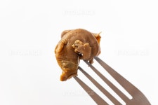 프리진 - 스톡 이미지, 사진, 일러스트, 벡터, 웹디자인. 이미지 사이트