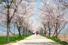 프리진 - 스톡 이미지, 사진, 일러스트, 벡터, 웹디자인. 이미지 사이트