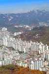 프리진 - 스톡 이미지, 사진, 일러스트, 벡터, 웹디자인. 이미지 사이트