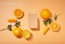 프리진 - 스톡 이미지, 사진, 일러스트, 벡터, 웹디자인. 이미지 사이트