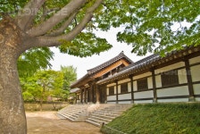 프리진 - 스톡 이미지, 사진, 일러스트, 벡터, 웹디자인. 이미지 사이트