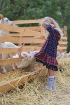 유토이미지 | side view of goats biting kids dress at farm
