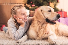 유토이미지 | smiling youngster and funny dog lying near christmas tree at home