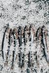 유토이미지 | Top view of pile of salted fish and on surface covered by salt