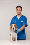 유토이미지 | veterinarian with stethoscope holding beagle dog and isolated on grey 유토이미지 | veterinarian with... 