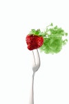 strawberry on fork and green ink isolated on white | 유토이미지 | 상세페이지 | 베이직샵 | 사진 | 21315752