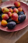 유토이미지 | close up of yummy ripe plums and apricots on plate on table