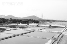 프리진 - 스톡 이미지, 사진, 일러스트, 벡터, 웹디자인. 이미지 사이트