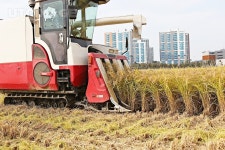 프리진 - 스톡 이미지, 사진, 일러스트, 벡터, 웹디자인. 이미지 사이트