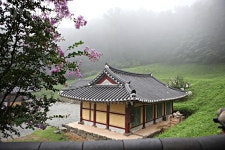 프리진 - 스톡 이미지, 사진, 일러스트, 벡터, 웹디자인. 이미지 사이트