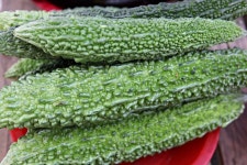 유토이미지 | 여주