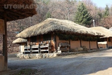 프리진 - 스톡 이미지, 사진, 일러스트, 벡터, 웹디자인. 이미지 사이트