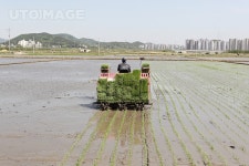 프리진 - 스톡 이미지, 사진, 일러스트, 벡터, 웹디자인. 이미지 사이트