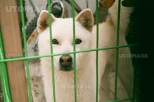 프리진 - 스톡 이미지, 사진, 일러스트, 벡터, 웹디자인. 이미지 사이트