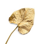 UFC0018_220830b | 유토이미지 검색 결과 UFC0018_220830b | 유토이미지  검색 결과