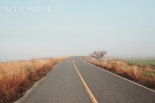 프리진 - 스톡 이미지, 사진, 일러스트, 벡터, 웹디자인. 이미지 사이트