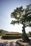 รูปภาพผลการค้นหา Naver 6