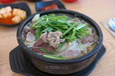 프리진 - 스톡 이미지, 사진, 일러스트, 벡터, 웹디자인. 이미지 사이트