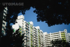 프리진 - 스톡 이미지, 사진, 일러스트, 벡터, 웹디자인. 이미지 사이트