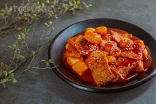 프리진 - 스톡 이미지, 사진, 일러스트, 벡터, 웹디자인. 이미지 사이트