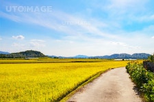 유토이미지 | 시골길