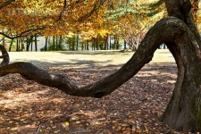 프리진 - 스톡 이미지, 사진, 일러스트, 벡터, 웹디자인. 이미지 사이트