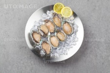 프리진 - 스톡 이미지, 사진, 일러스트, 벡터, 웹디자인. 이미지 사이트