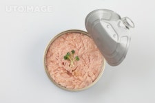 프리진 - 스톡 이미지, 사진, 일러스트, 벡터, 웹디자인. 이미지 사이트