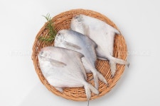 프리진 - 스톡 이미지, 사진, 일러스트, 벡터, 웹디자인. 이미지 사이트