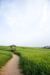 유토이미지 | 상세페이지 | 베이직샵 | 22065169 | 학원농장,고창군,전북,한국