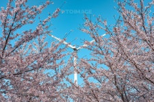 프리진 - 스톡 이미지, 사진, 일러스트, 벡터, 웹디자인. 이미지 사이트