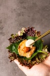 프리진 - 스톡 이미지, 사진, 일러스트, 벡터, 웹디자인. 이미지 사이트