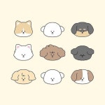 푸들 | 유토이미지 검색 결과 푸들 | 유토이미지  검색 결과