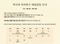 [루아레]Lir 332 (2 Color) [W CONCEPT]