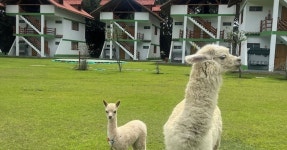 2025 산 헤로니모 데 투난 Tambo Station 근처 호텔,숙소 베스트 10