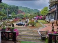 양평 자전거펜션(구 재즈의 고향), 양평·용문, 경기 - 여기어때 특가