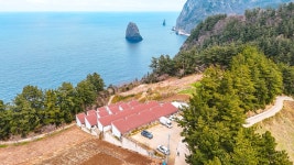 스테이 섬씽 울릉도, 영덕·울진·울릉도, 경북 - 여기어때 특가