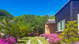 횡성 밤골이야기펜션, 평창·횡성·원주, 강원 - 여기어때 특가