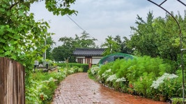 안동 독채 금서산방, 문경·상주·안동·영주, 경주/안동권 - 여기어때 특가