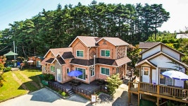 양양 피노트리펜션, 양양, 강원 - 여기어때 특가