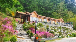 정선 광수네, 강원 - 여기어때 특가