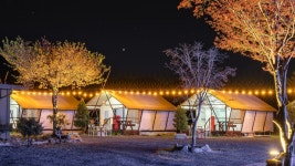 영천 채송화글램핑, 경상/부산 - 여기어때 특가