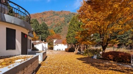 화천 파인밸리펜션, 홍천·인제·철원·화천, 강원 - 여기어때 특가